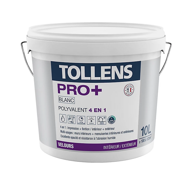 Castorama Peinture 4 En 1 Tollens Pro+ Blanche Velours 10L 1 Castorama Peinture 4 En 1 Tollens Pro+ Blanche Velours 10L