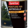Castorama Peinture Extérieure Fer Antirouille Rouge Feu Satiné Syntilor 0,5L