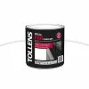Castorama Peinture Fer Extérieur/intérieur Blanc Tollens 0,25L
