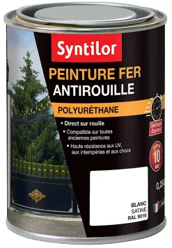 Castorama Peinture Fer Syntilor Ultra Protect Blanc Satin 0,25L