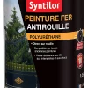 Castorama Peinture Fer Syntilor Ultra Protect Gris Ardoise 0,25L