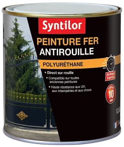 Castorama Peinture Fer Syntilor Ultra Protect Noir Mat 0,5L