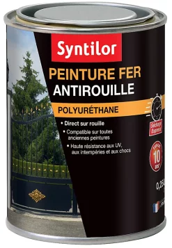 Castorama Peinture Fer Syntilor Ultra Protect Rouge Basque 0,25L