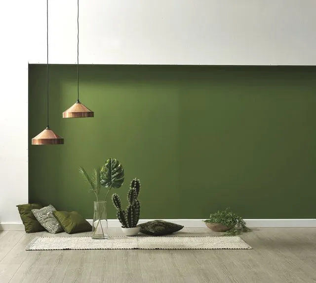 Peinture extérieure Soldes Magasin -Peinture extérieure Soldes Magasin mur peint en vert avec la peinture naturelle saint luc 6132068